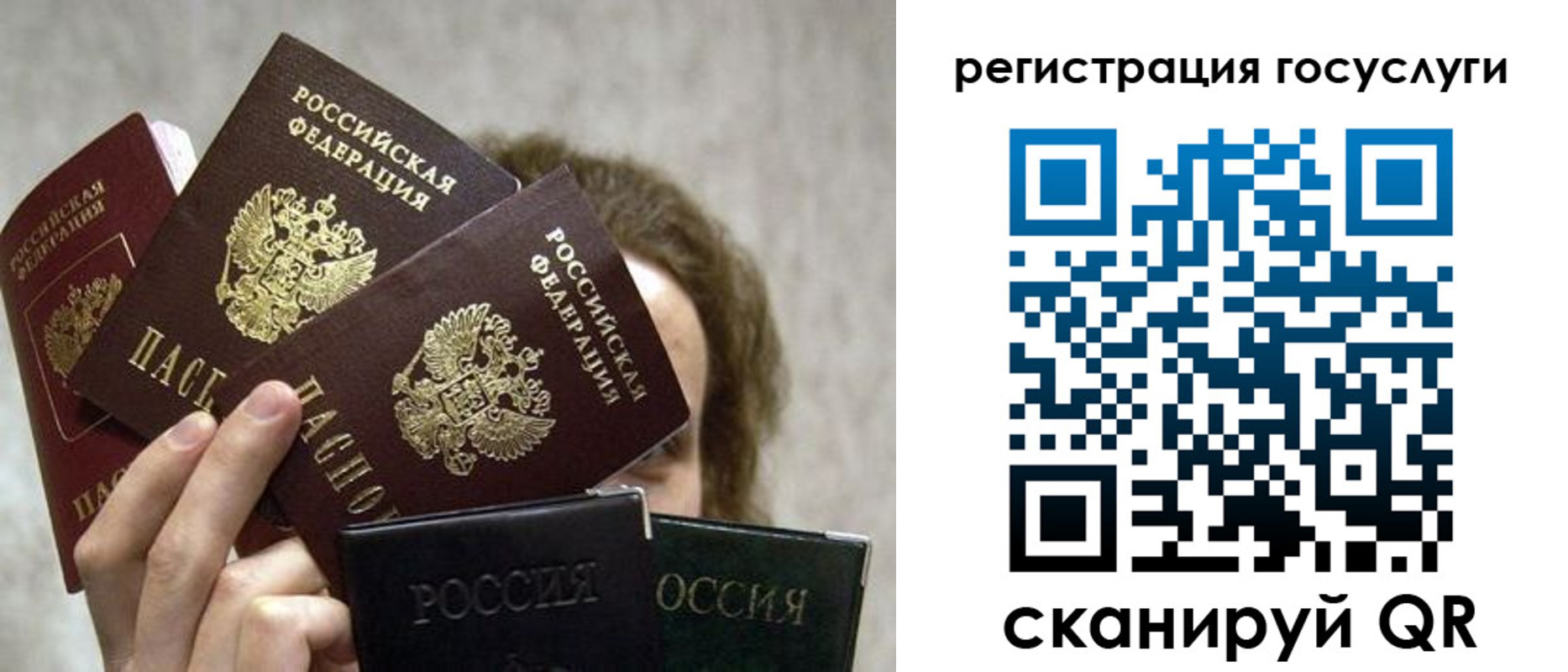 временная регистрация поиск в Торжоке